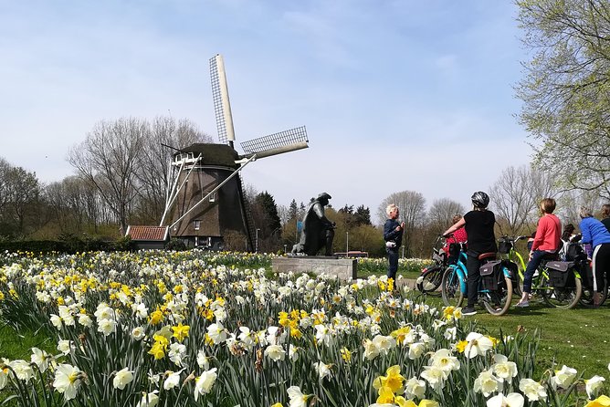 Countryside Bike Tour from Amsterdam: Cheese, Clogs & a Windmill - E-Bike vs. Standard Bike: Matching the Ride to Your Comfort Level