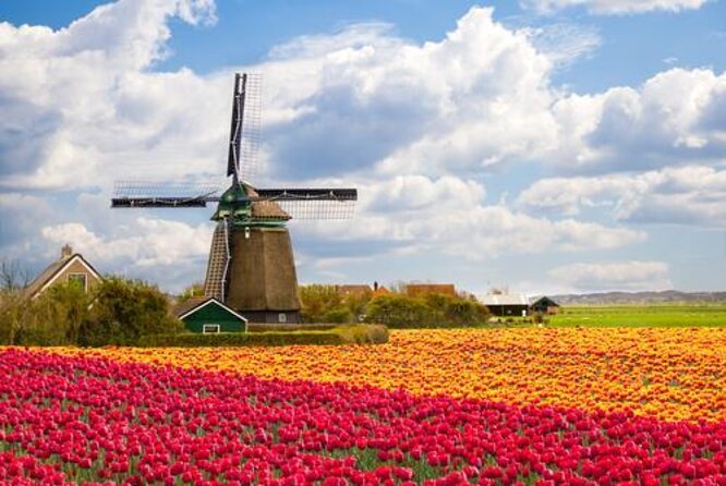 Day Trip to Zaanse Schans, Edam, Volendam and Marken from Amsterdam - Edam’s Cheese-Market Square: Photos, Canals, and Local Time