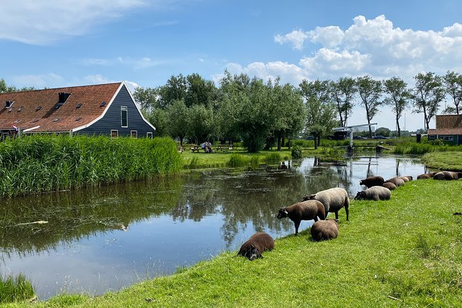 Escape Amsterdam: E-Bike to Zaanse Schans Windmills & Zaandam - Oosterdokskade meet-up and the ferry out to Noord