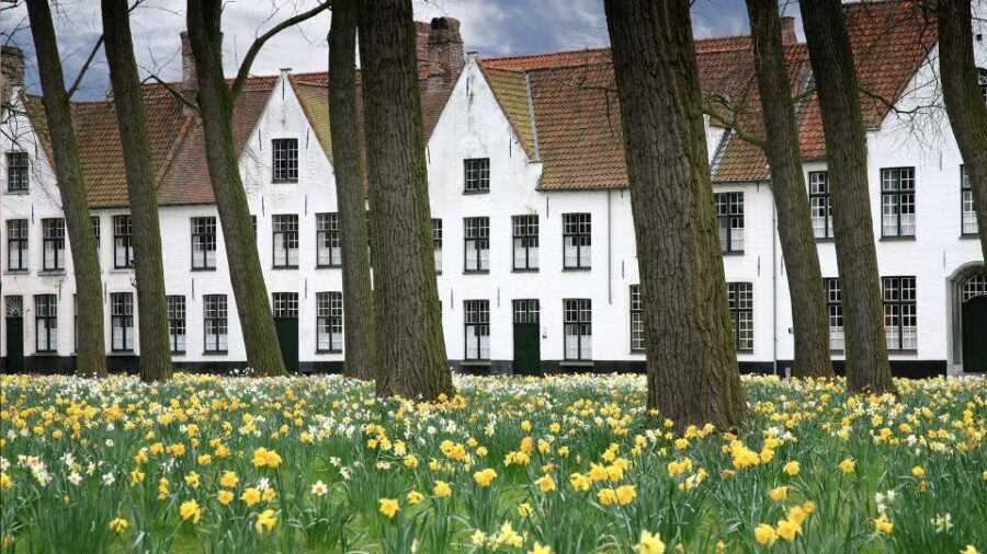 From Amsterdam: Bruges Day Trip in English with Boat Option - FAQ