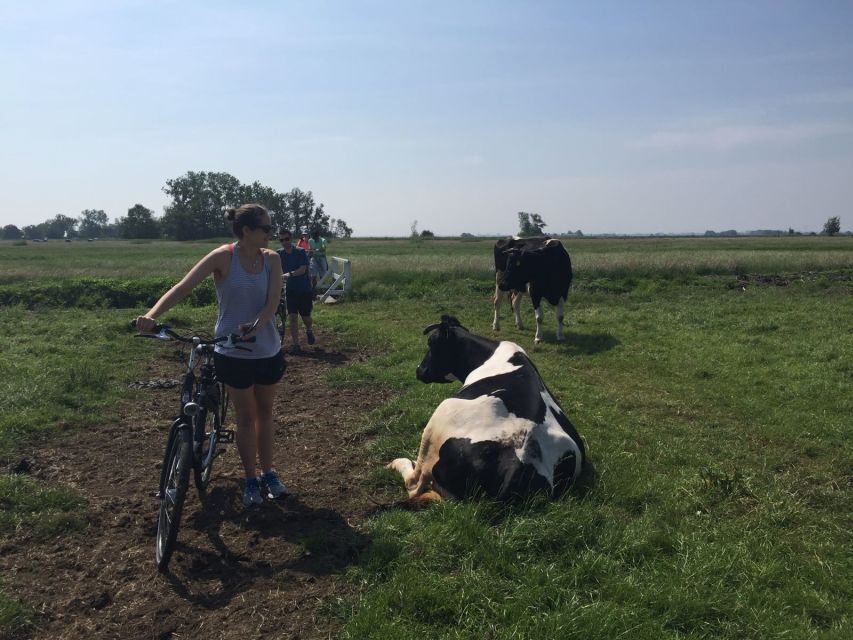 From Amsterdam: Countryside Bike Tour - Dams, dikes, and water management: the Netherlands explained as you ride