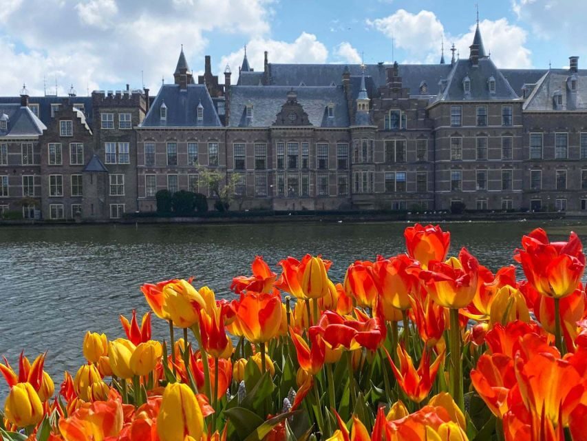 From Amsterdam: Guided Trip to Rotterdam, Delft & The Hague - Amsterdam Pickup and the Ride Out on a Single-Deck Bus