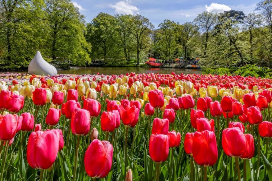 From Amsterdam: Keukenhof and Dutch Countryside Tour - Key highlights to know before you go