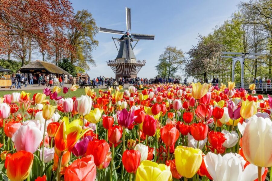From Amsterdam: Keukenhof and Dutch Countryside Tour - The IJsselmeer boat trip: the break your body will appreciate