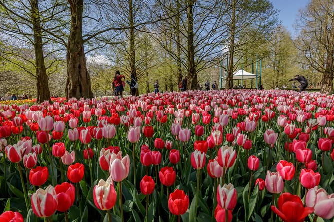 From Amsterdam: Keukenhof Gardens Ticket and Transfer - Price and Value: Is $41.51 a Smart Deal?