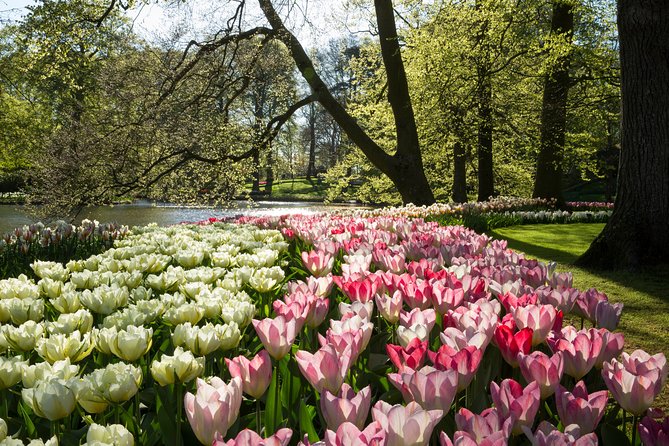 From Amsterdam: Keukenhof Gardens Ticket and Transfer - Group Size, Check-In Reality, and How to Avoid Problems