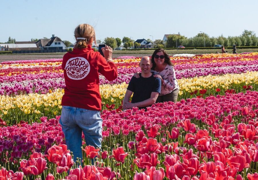 From Amsterdam: Keukenhof Gardens & Tulip Experience Tour - Value check: does $94 make sense for this route and pacing?