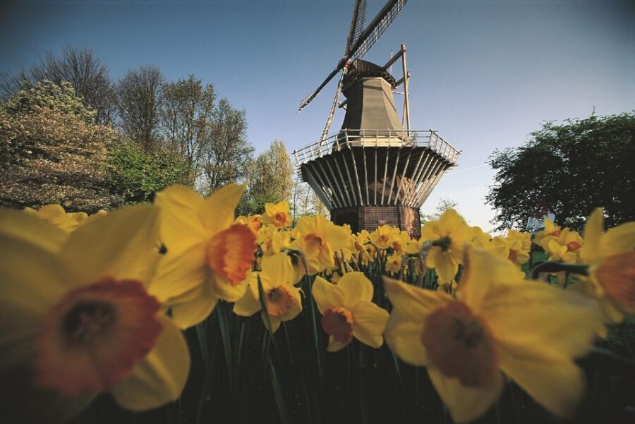 From Amsterdam: Keukenhof Gardens & Tulip Experience Tour - Crowds, weather, and season reality in South Holland