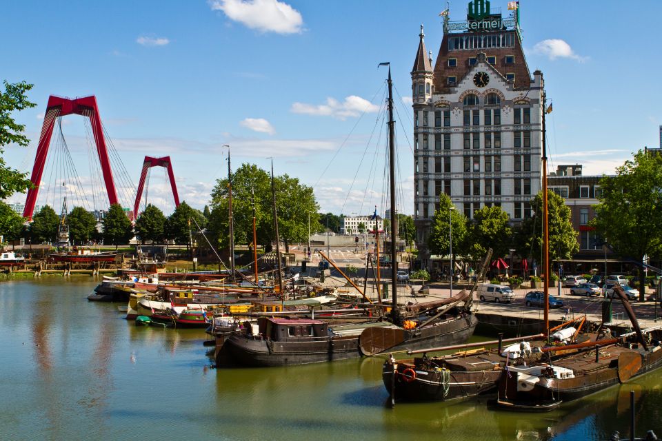 From Amsterdam: Rotterdam and The Hague Tour in Spanish - Price and logistics: $46 for two cities, a bus day, and major landmarks