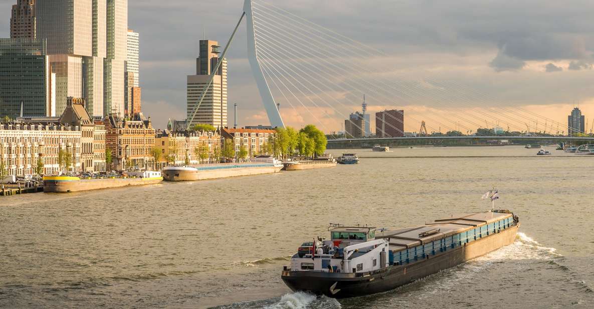 From Amsterdam: Rotterdam and The Hague Tour in Spanish - Mauritshuis and the Peace Palace: art meets international law