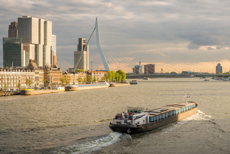 From Amsterdam: Rotterdam and The Hague Tour in Spanish - From Oude Haven to Markthal: historic port flavor and modern food energy