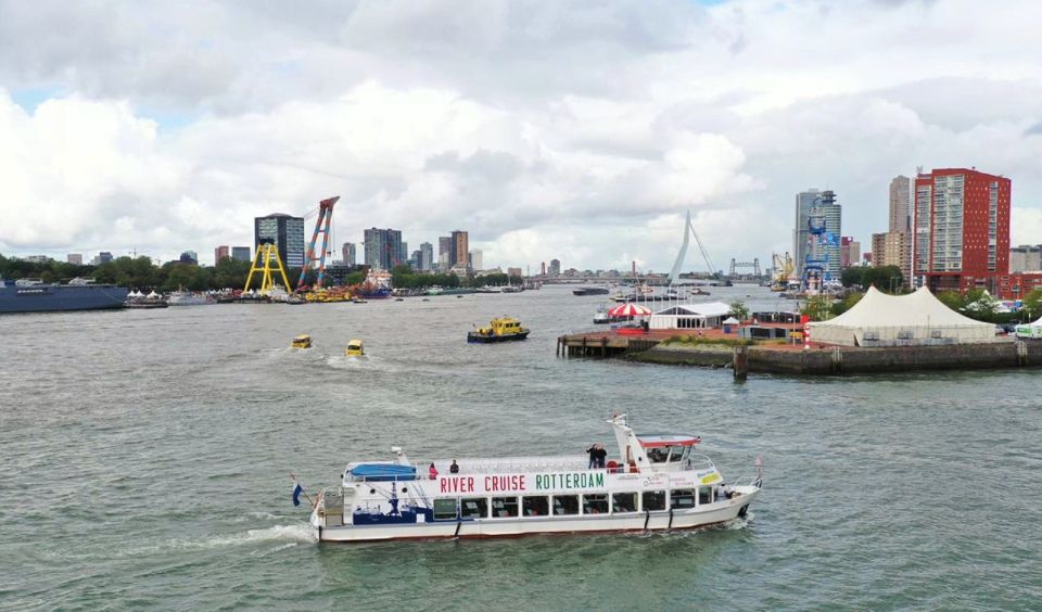 From Amsterdam: Rotterdam, Delft & The Hague Guided Day Tour - Who this tour suits best