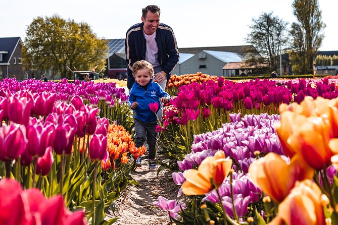 Keukenhof Gardens & Tulip Experience Tour from Amsterdam - Why This Tulip Combo Fits a Real Amsterdam Schedule