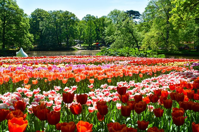 Keukenhof Gardens & Tulip Experience Tour from Amsterdam - The “Non-Guided” Part: How to Plan Your Day Inside the Gardens