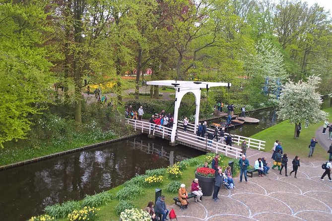 Keukenhof's Tulips and Windmills Small-Group Tour from Amsterdam - A Dutch day trip built around one efficient route