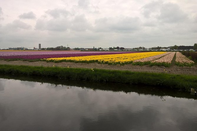 Keukenhof's Tulips and Windmills Small-Group Tour from Amsterdam - Wooden shoe workshop + Gouda cheese tasting: real crafts, not just stops