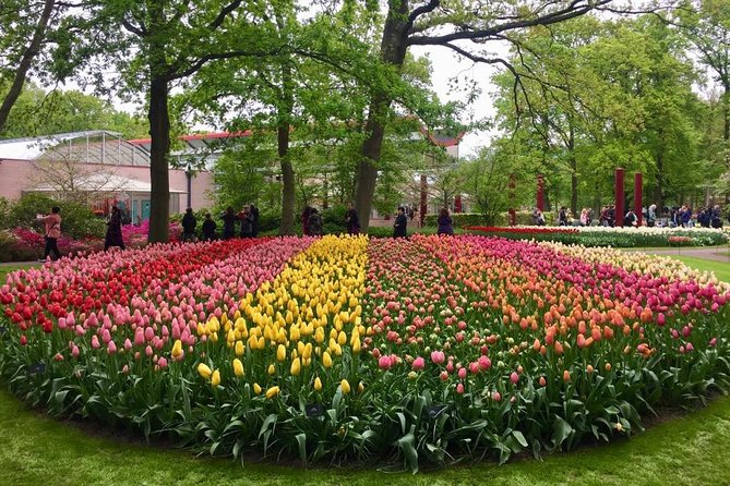 Keukenhof's Tulips and Windmills Small-Group Tour from Amsterdam - Keukenhof Gardens: make your 3 hours count