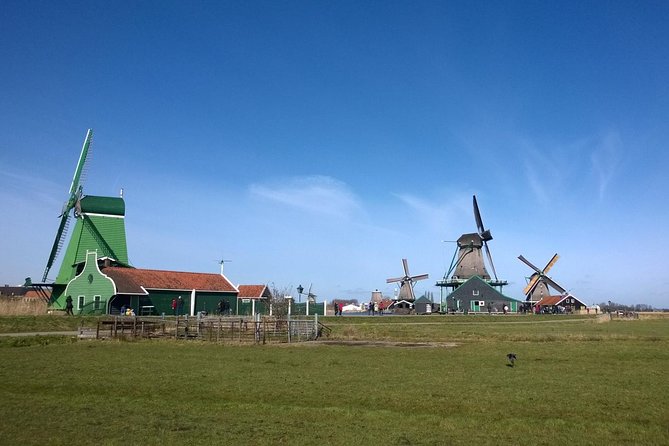 Keukenhof's Tulips and Windmills Small-Group Tour from Amsterdam - Pace, comfort, and what to expect from the small group