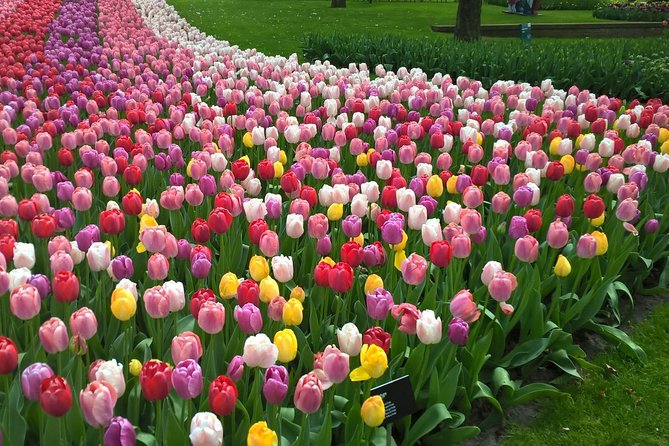 Keukenhof's Tulips and Windmills Small-Group Tour from Amsterdam - Starting at LOT61: how to find the meeting point fast