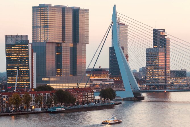Rotterdam, Delft and The Hague Small Group Tour from Amsterdam - Walking time, coffee stops, and where lunch fits