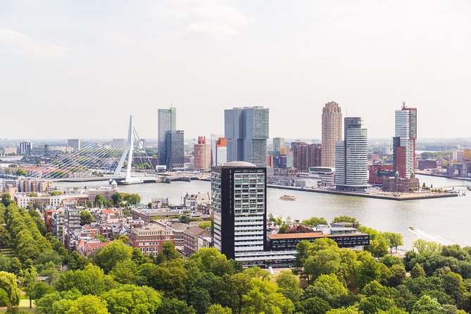 Rotterdam, Delft, the Hague, Madurodam from Amsterdam - Delft on your own: lunch, pacing, and the best kind of wandering
