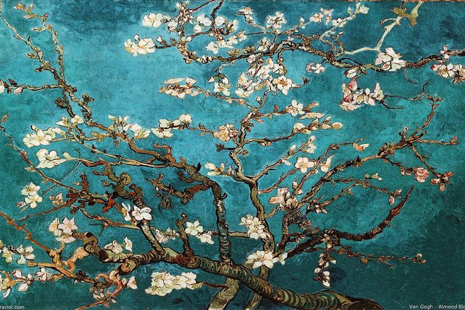 Van Gogh Museum Amsterdam Exclusive Tour w/ Reserved Entry - Price and value: is $173.05 per person worth it?