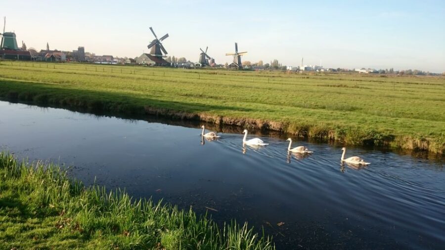 Zaanse Schans Windmills 4-Hour Tour in Italian - Dutch Cheese Tasting: Small Time, Real Context